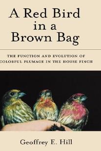 Bag 预售 and Bird Red Function The Brown
