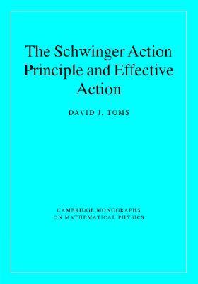 【预售】The Schwinger Action Principle and Effective Action
