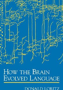 【预售】How the Brain Evolved Language