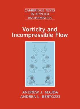 Vorticity and Incompressible Flow