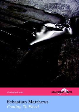 【预售】Coming to Flood (the Hollyridge Press Chapbook
