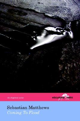 【预售】Coming to Flood (the Hollyridge Press Chapbook