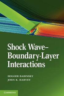 预售 Wave Shock Interactions Boundary Layer