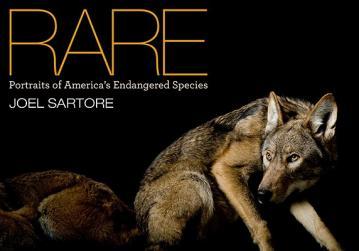 【预售】Rare: Portraits of America's Endangered Species