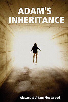 【预售】Adam's Inheritance