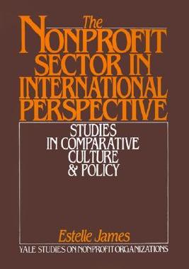 【预售】The Nonprofit Sector in International Perspective: