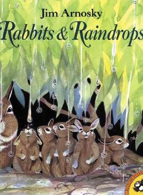预订 【】Rabbits and Raindrops