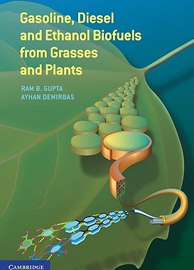 【预售】Gasoline, Diesel, and Ethanol Biofuels from Grasses