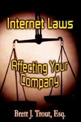 【预售】Internet Laws Affecting Your Company