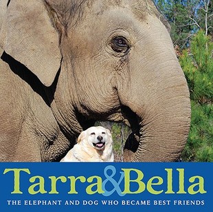 Who Best Elephant and The Tarra Bella Became Dog 预售