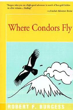 【预售】Where Condors Fly