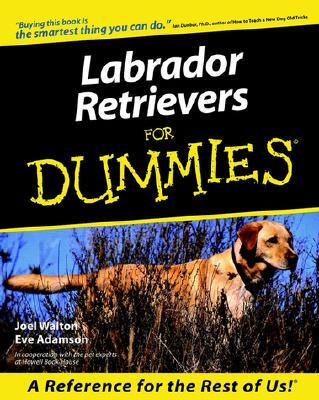 【预订】Labrador Retrievers For Dummies
