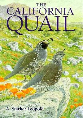 【预订】The California Quail