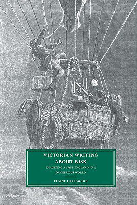 【预售】Victorian Writing about Risk: Imagining a Safe