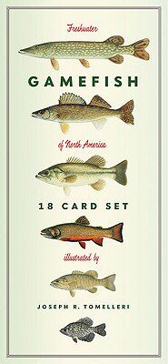 【预订】Freshwater Gamefish of North America: 18 Card Set