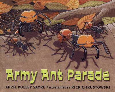 【预订】Army Ant Parade