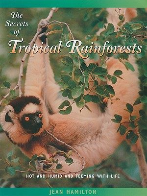 美国库房发货，通常付款后5-8周到货！