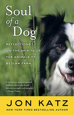 【预售】Soul of a Dog: Reflections on the Spirits of the