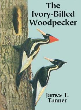 【预售】The Ivory-Billed Woodpecker