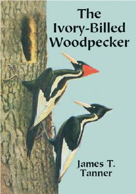 【预售】The Ivory-Billed Woodpecker
