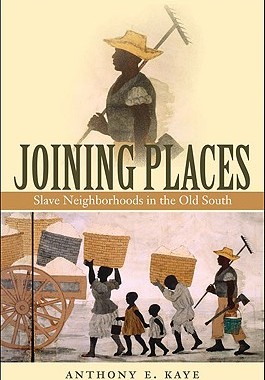 【预售】Joining Places: Slave Neighborhoods in the Old