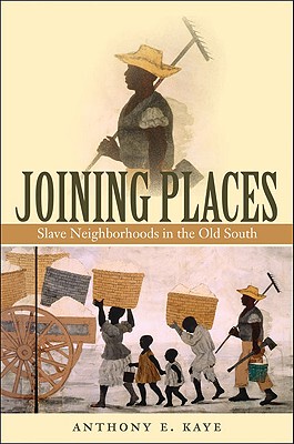 【预售】Joining Places: Slave Neighborhoods in the Old