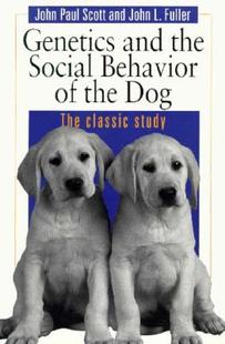 and the Social Genetics Behavior Dog 预售