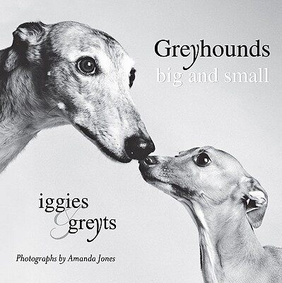 【预订】Greyhounds Big and Small: Iggies & Greyts