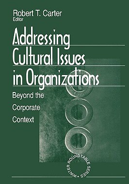 【预售】Addressing Cultural Issues in Organizations: Beyond