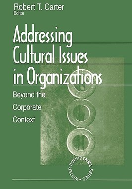 【预售】Addressing Cultural Issues in Organizations: Beyond