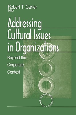 【预售】Addressing Cultural Issues in Organizations: Beyond