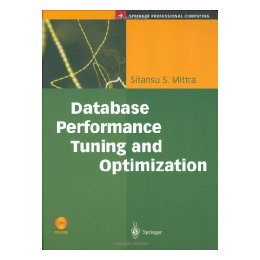 【预售】Database Performance Tuning and Optimization: Using