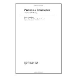 【预售】Phenomenal Consciousness: A Naturalistic Theory