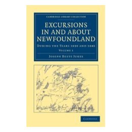 美国库房发货，通常付款后5-8周到货！