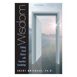 【预售】Wisdom - Making Good Choices with Imperfect