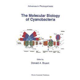 【预售】The Molecular Biology of Cyanobacteria