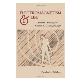 【预售】Electromagnetism and Life