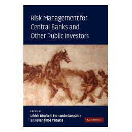 【预售】Risk Management for Central Banks and Other Public 书籍/杂志/报纸 经济管理类原版书 原图主图