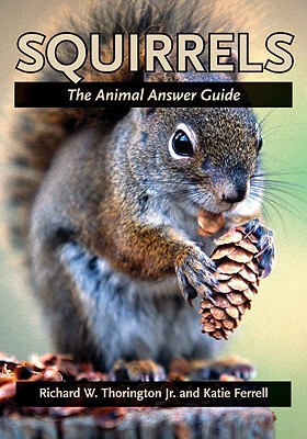 【预售】Squirrels: The Animal Answer Guide