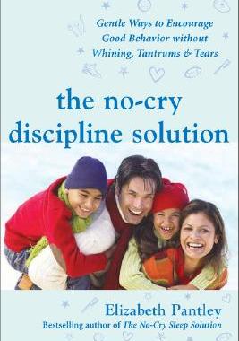 现货 The No-Cry Discipline Solution: Gentle Ways to