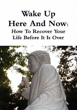 【预售】Wake Up Here and Now: How to Recover Your Life