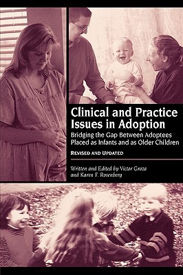 【预售】Clinical and Practice Issues in Adoption--Revised