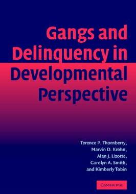 【预售】Gangs and Delinquency in Developmental Perspective