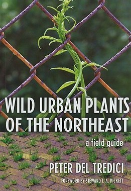 【预售】Wild Urban Plants of the Northeast: A Field Guide