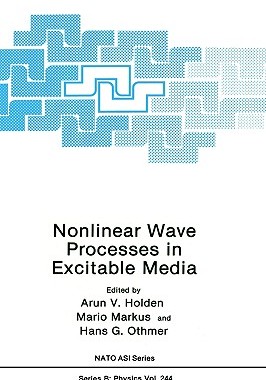 【预售】Nonlinear Wave Processes in Excitable Media
