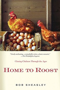 Roost Chases 预售 Chickens Farmer Home Backyard