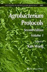 【预售】Agrobacterium Protocols Volume 1: