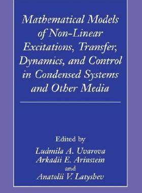 【预售】Mathematical Models of Non-Linear Excitations