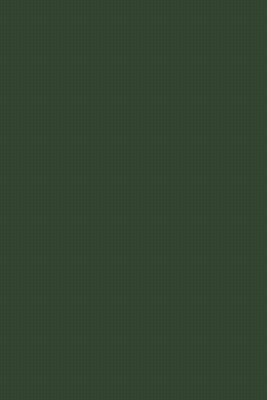 【预售】Parallelism and Prosody in the Processing of