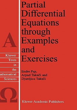 【预售】Partial Differential Equations Through Examples and